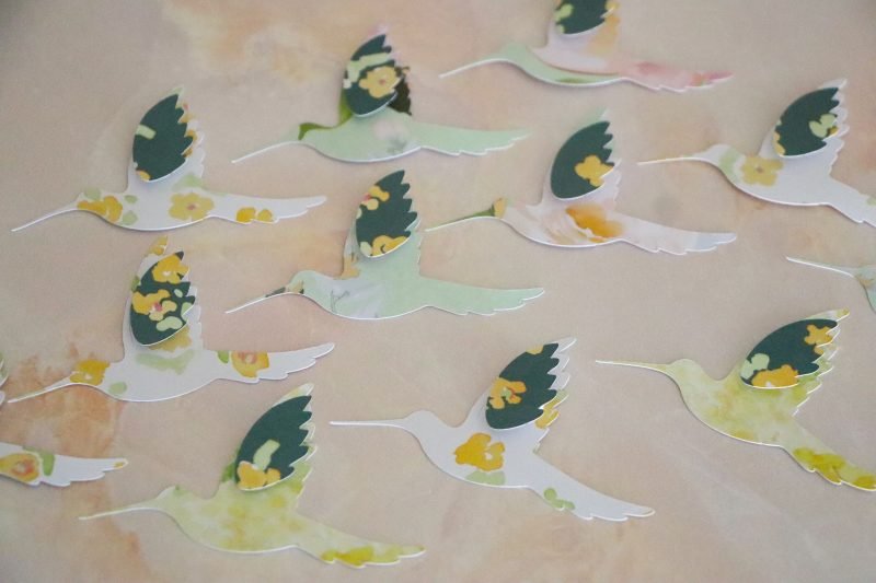 30 Colibris - Image 2