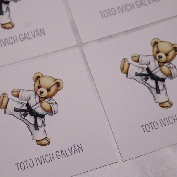 16 Tags Polo Bears Karate